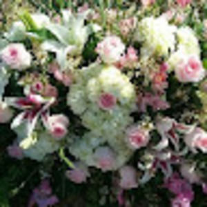 Meet your Posher, Carla